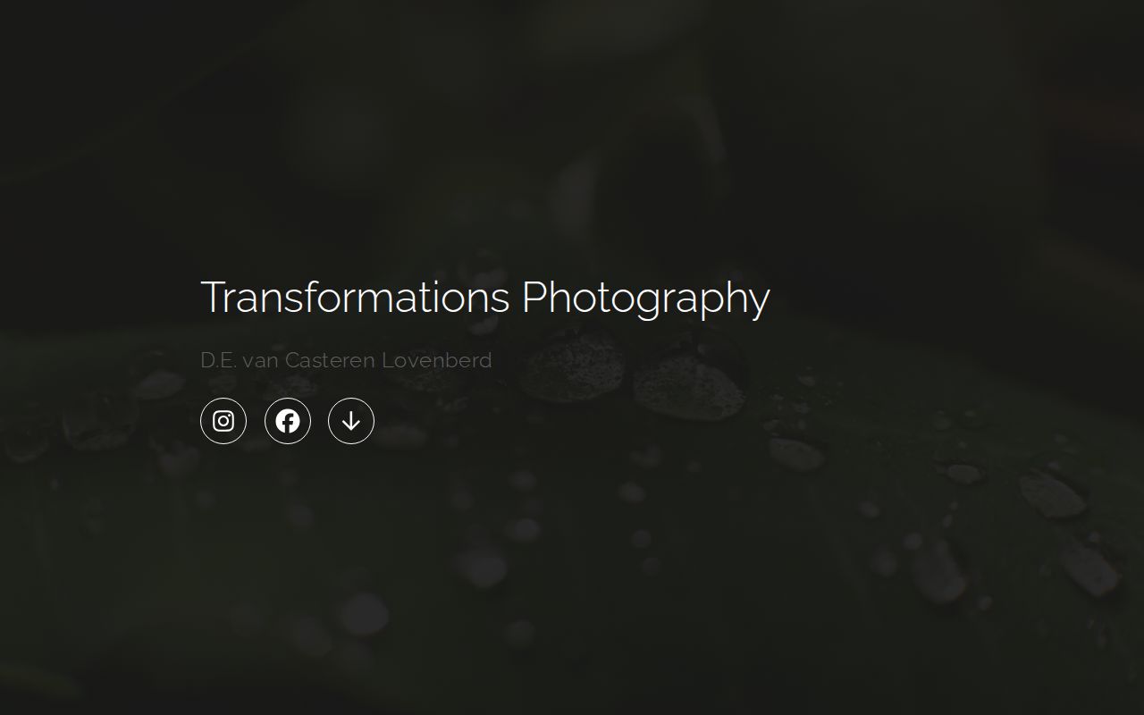 Carrd profile picture for @transformations